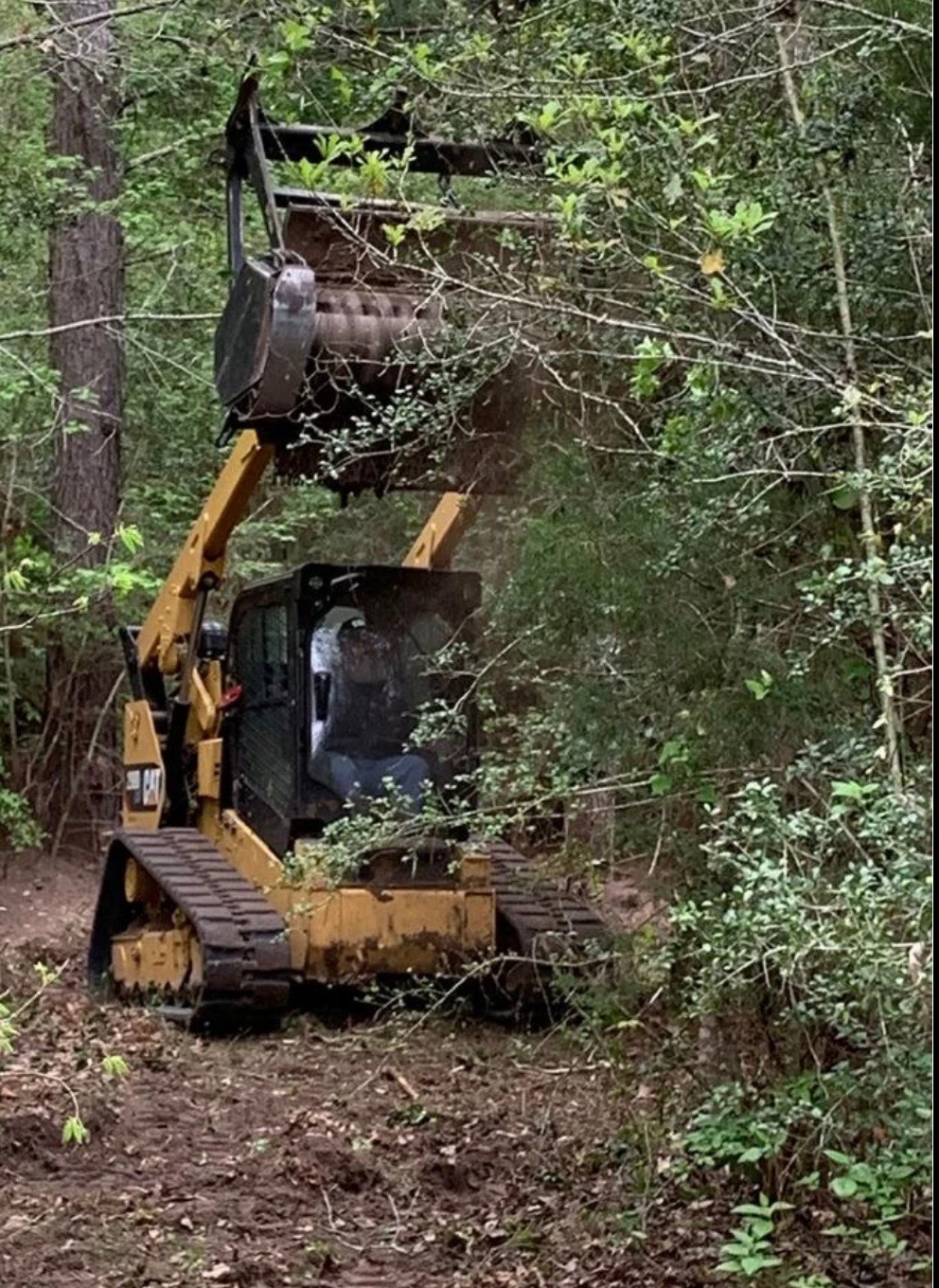 Tree Removal Equipment