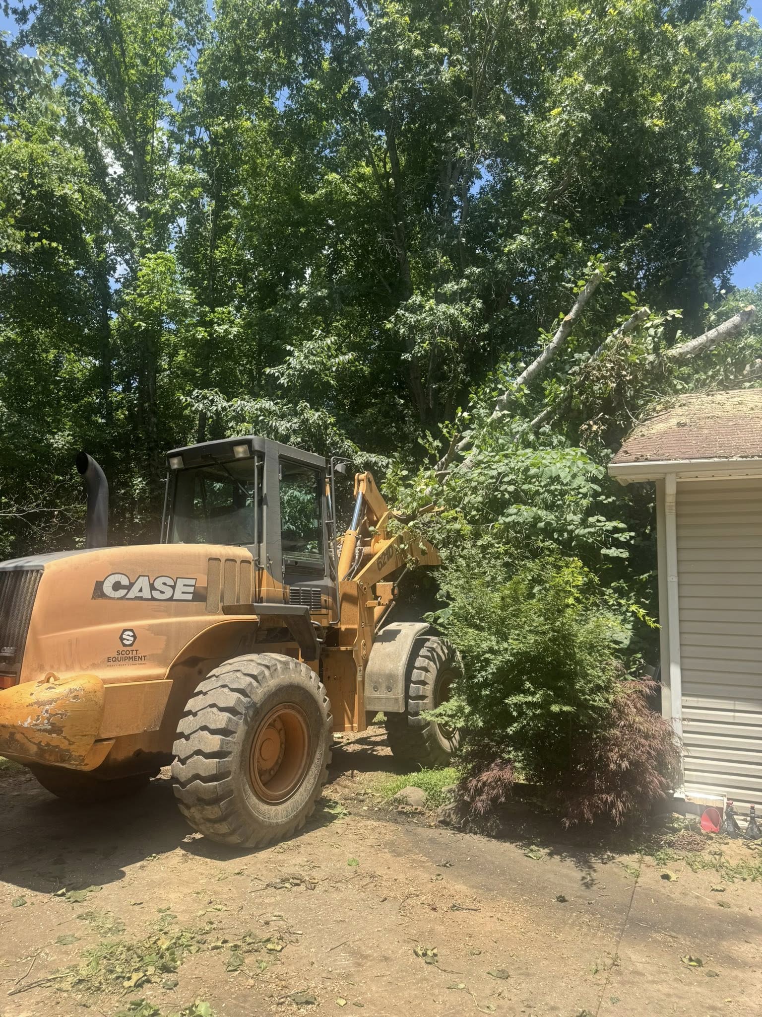 Heavy Equipment for Tree Removal